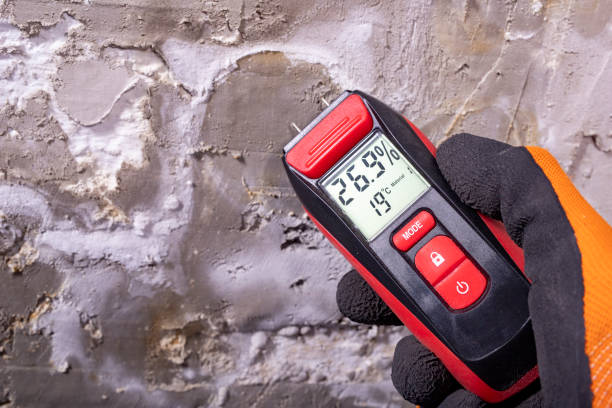 Best Post-Flood Mold Remediation in Independence, OH